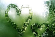 怎么在线观看浙江卫视直播？有哪些靠谱渠道和注意事项？