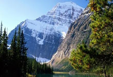 中国女排最新积分榜情况如何？各队排名有哪些变化？